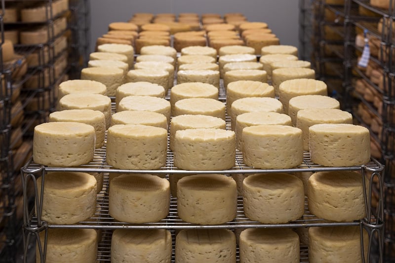 European Culinary Traditions