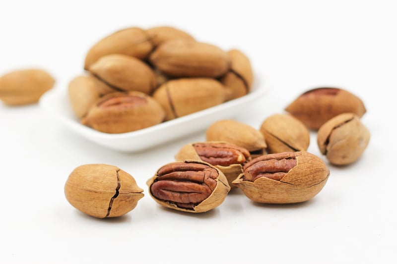 Lean Protein Options